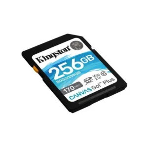 SD CARD.256GB KINGSTON SDG3/256GB